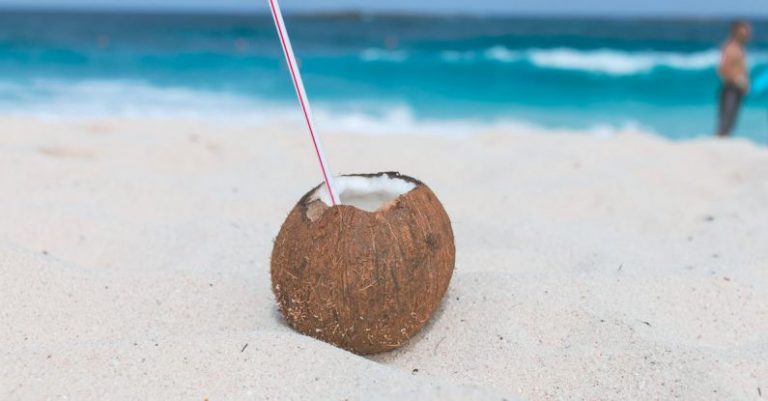 Beach Day - Brown Coconut on Sand