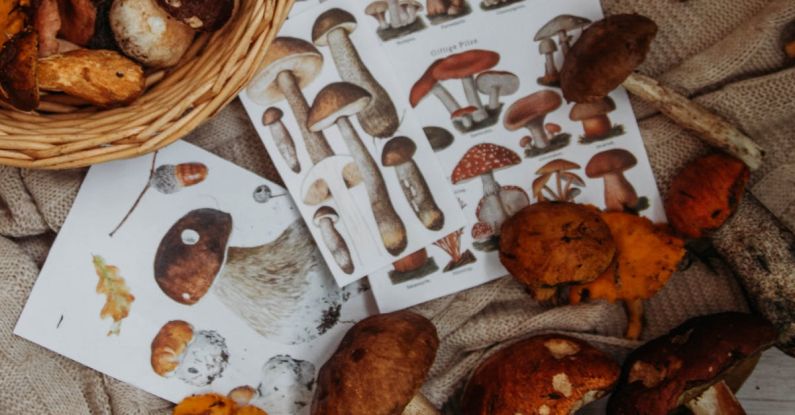 Fall - Mushrooms and Wicker Basket
